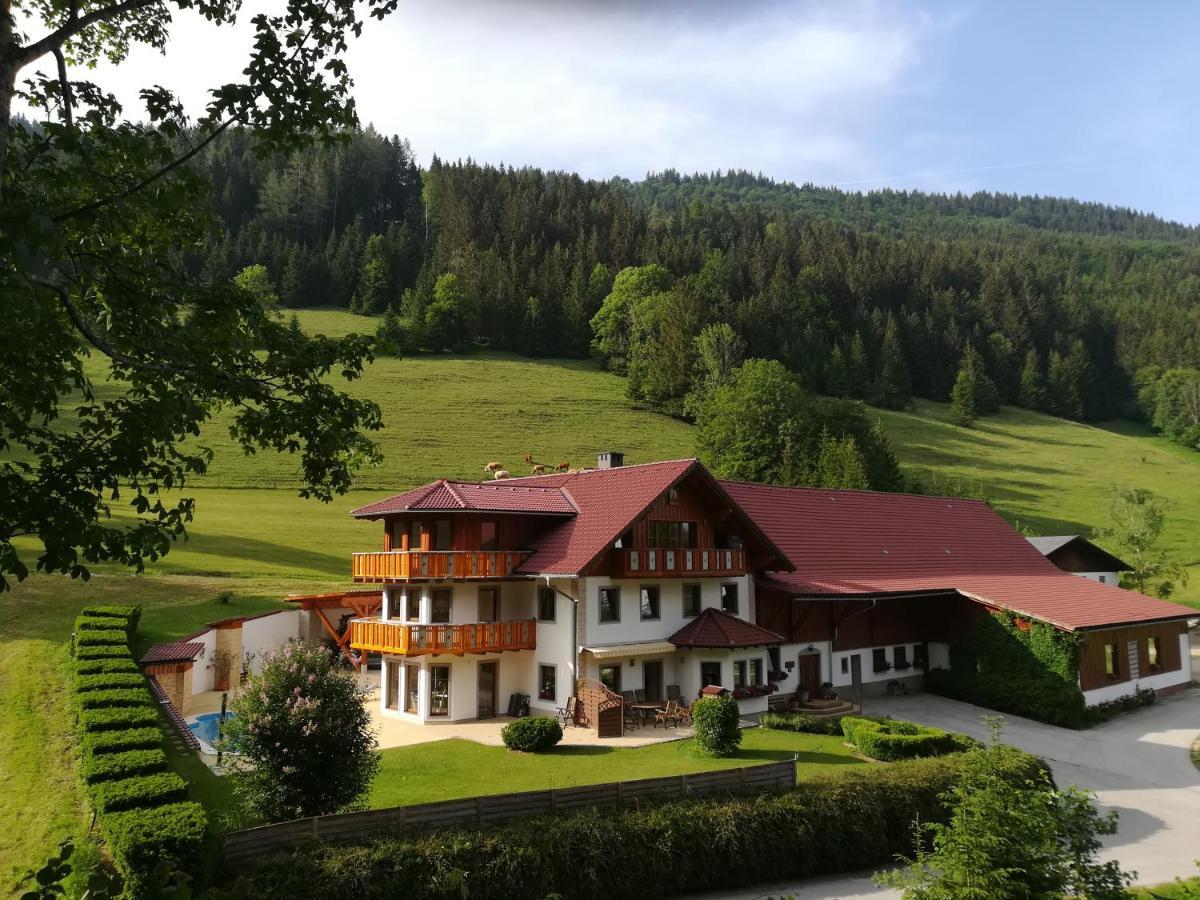 Hackstock Apartment Lunz am See